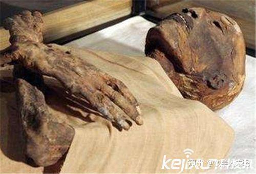 被制作成干尸为某帝王.