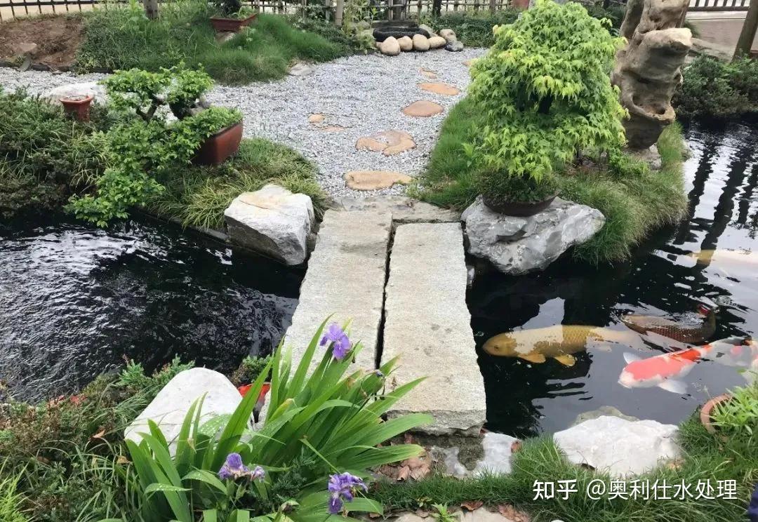 景观设计没灵感这7个绝美锦鲤鱼池设计也许有答案