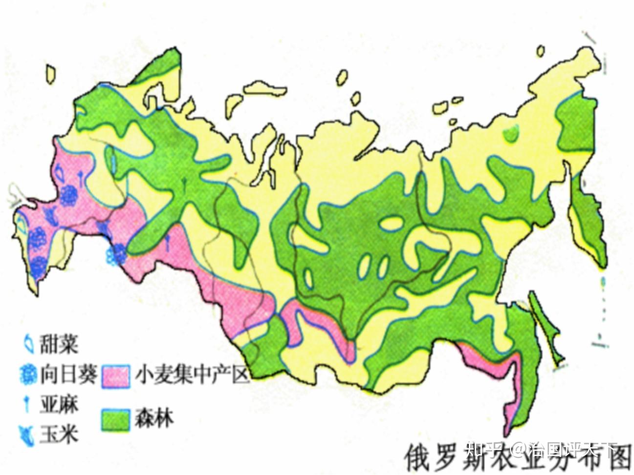 来源于地理教育网的俄罗斯农业分布图;森林区域确实广大