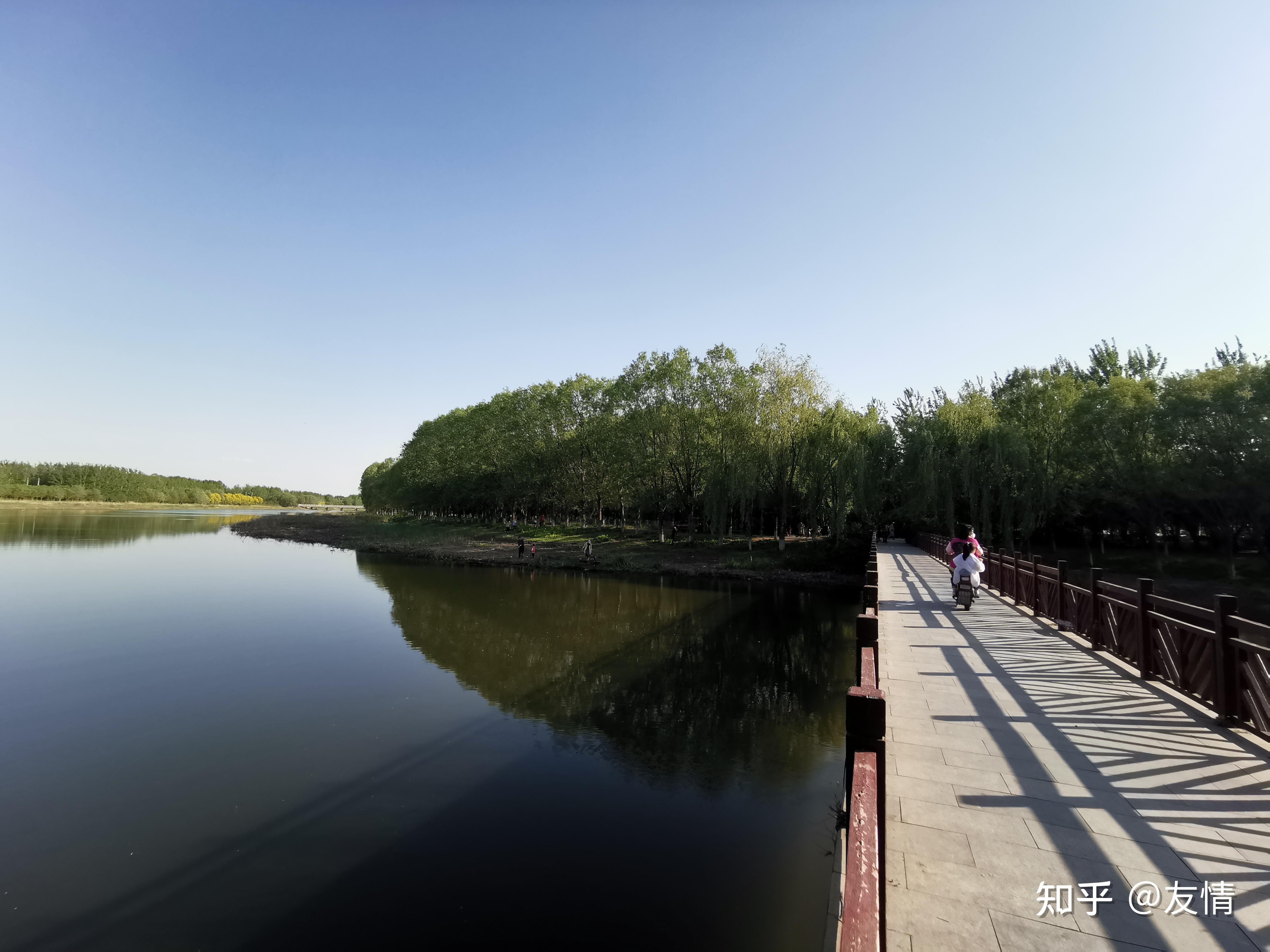 永定河湿地公园图片