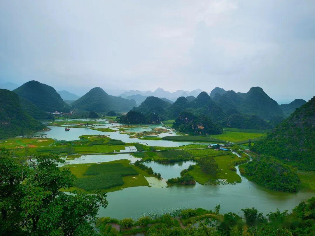 云南避暑胜地普者黑:风景优美,适合赏花旅拍和亲子!(附详细攻略)