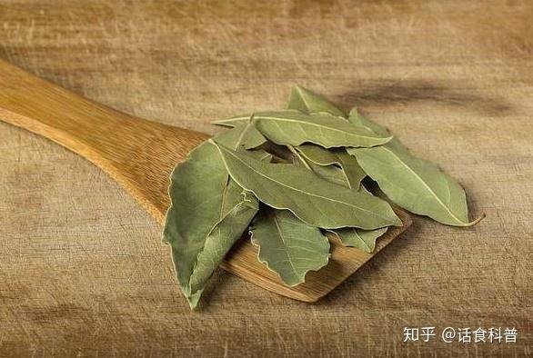 神奇的调味叶子,香叶与罗勒你可不要用错 - 知乎