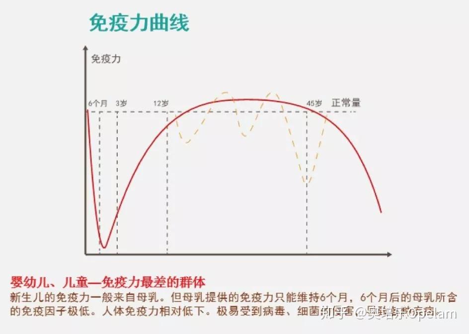 人体生物力线图片