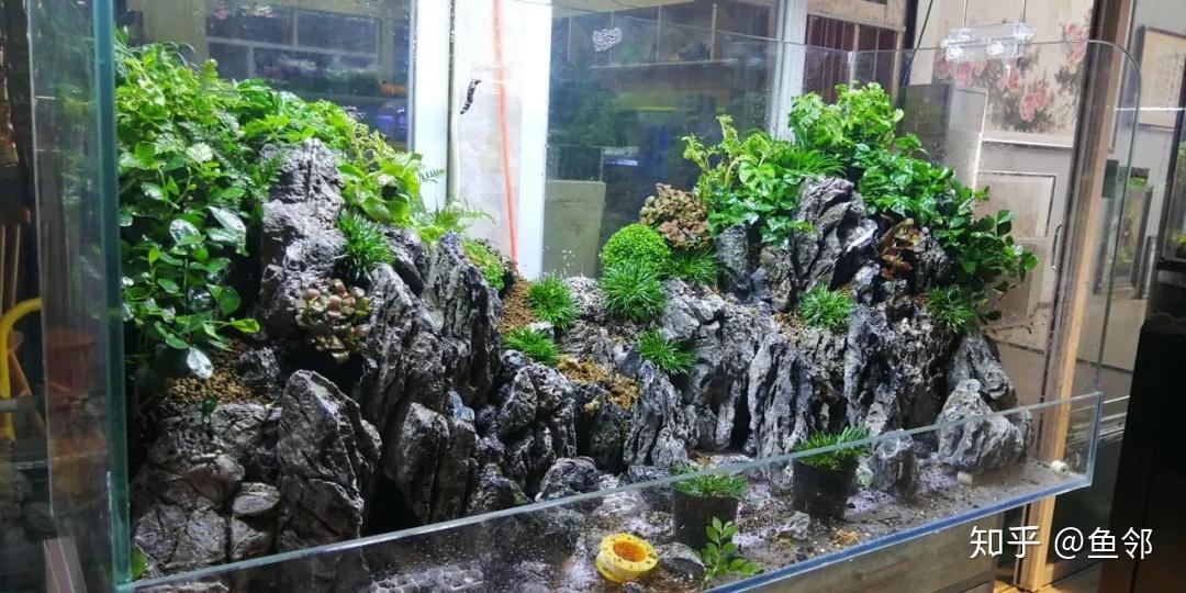 超大气的青龙石中式山水水陆缸