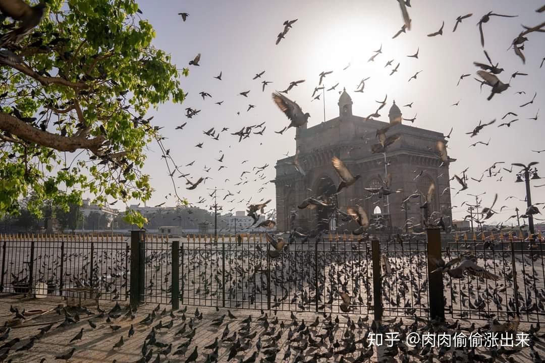 印度这么多人口疫情没有_印度人口多的照片
