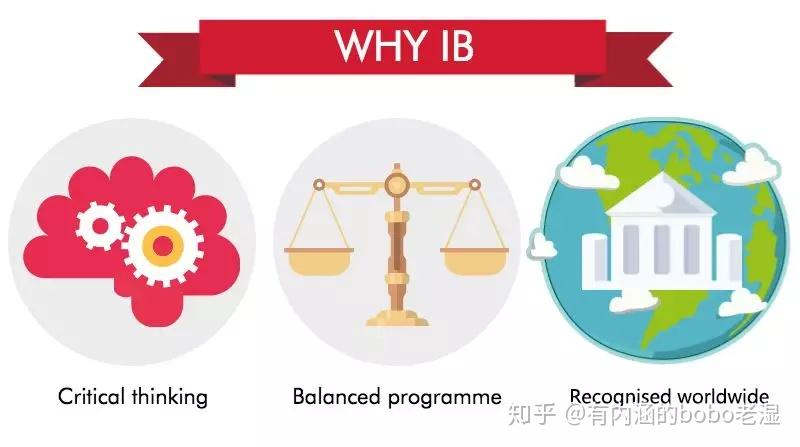 Does Ib Help Get Into University