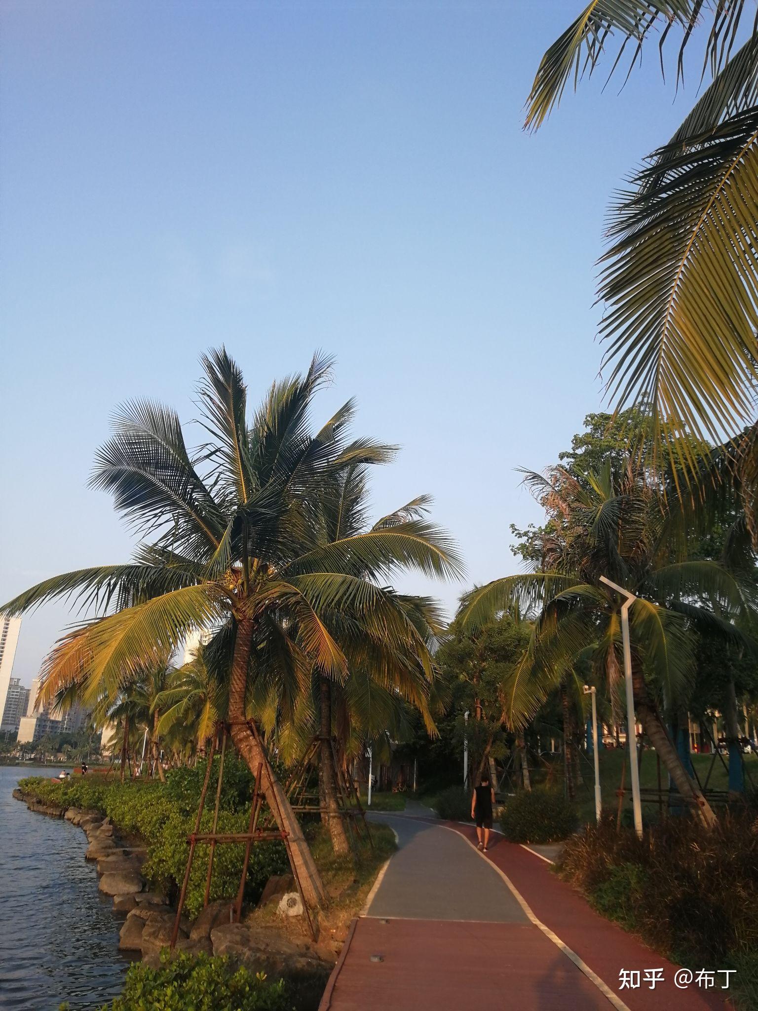 逛红城湖公园随笔 - 知乎