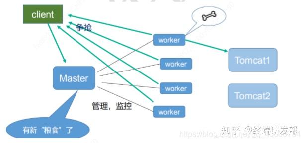 nginx学习,看这一篇就够了!44 nginx学习,看这一篇就够了!