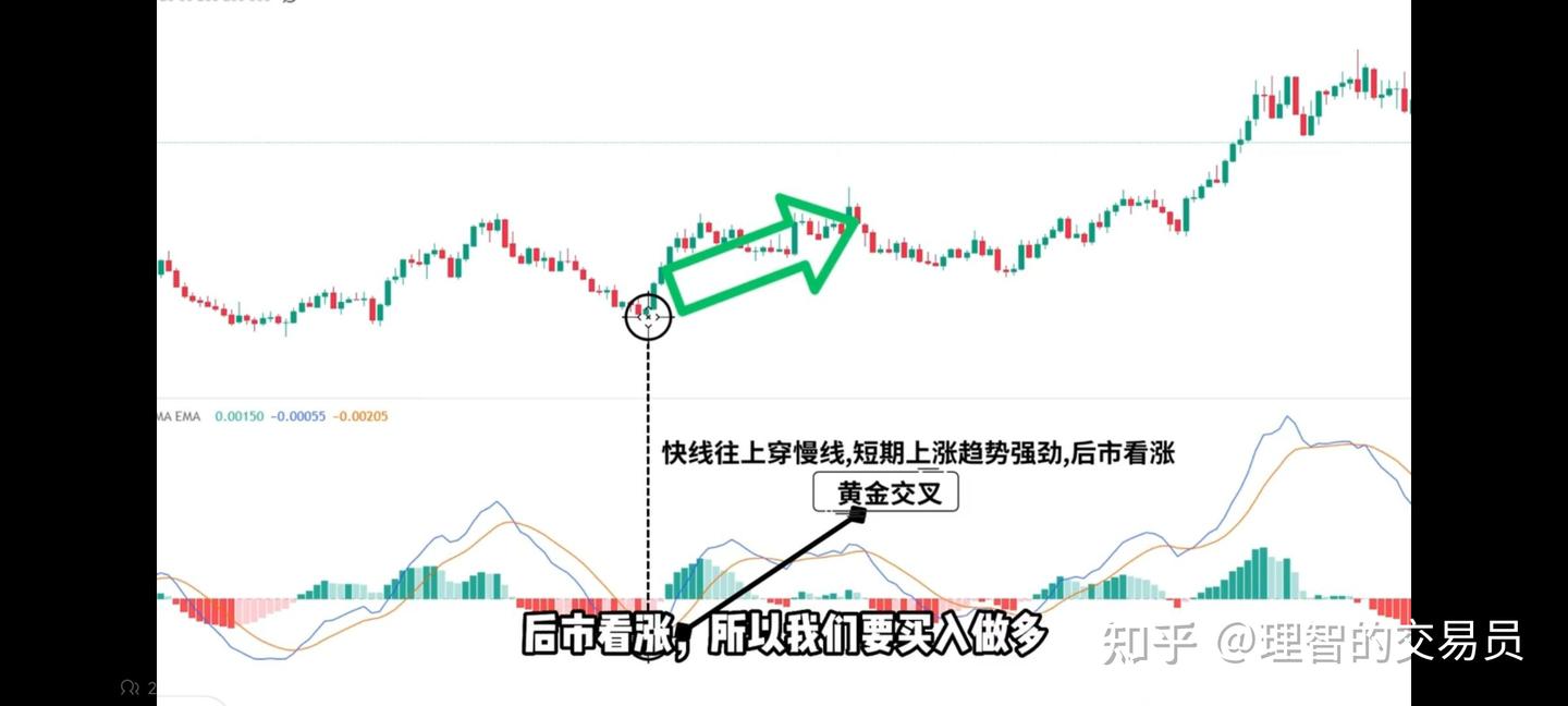 MACD+RSI+EMA高胜率技术指标交易策略，盈利高达147% - 知乎