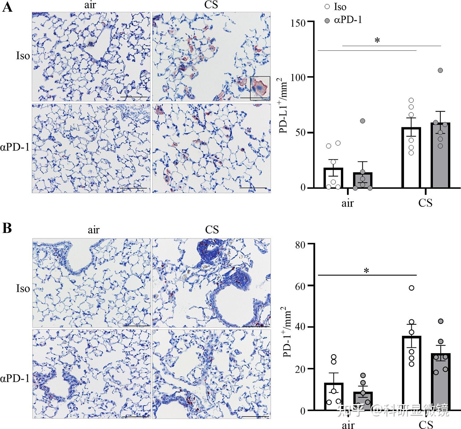 免疫相关方向的标书如何设计?这篇文章或许能给你启示 - 知乎