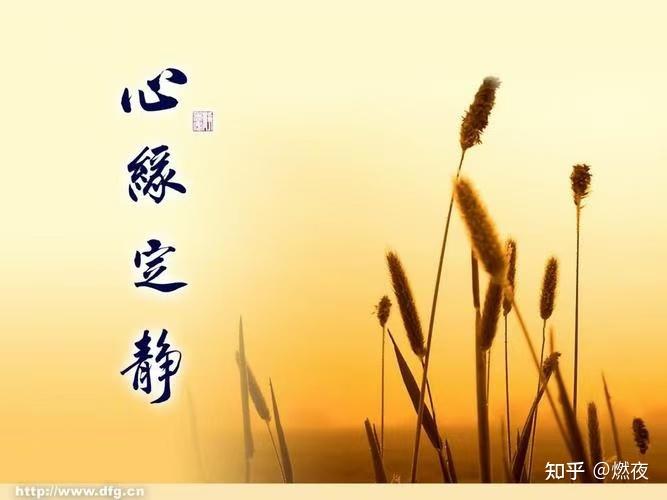 《恭敬心》 - 知乎