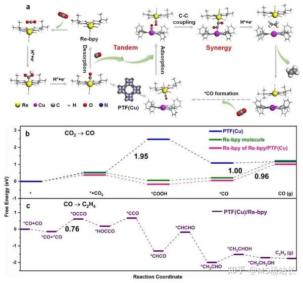 【DFT+实验】 JACS：Re-bpy/PTF(Cu)协同催化CO2制备C2H4 - 知乎