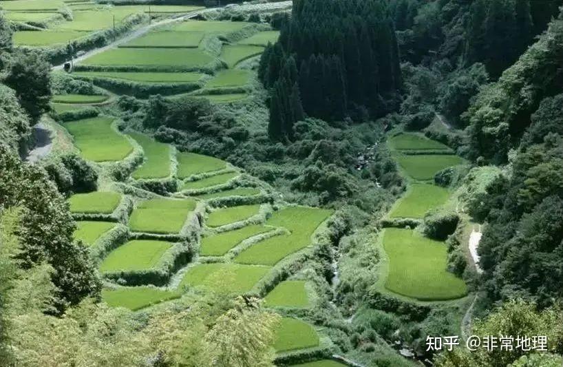 地理视角看梯田考点,附中国10大最美梯田 - 知乎