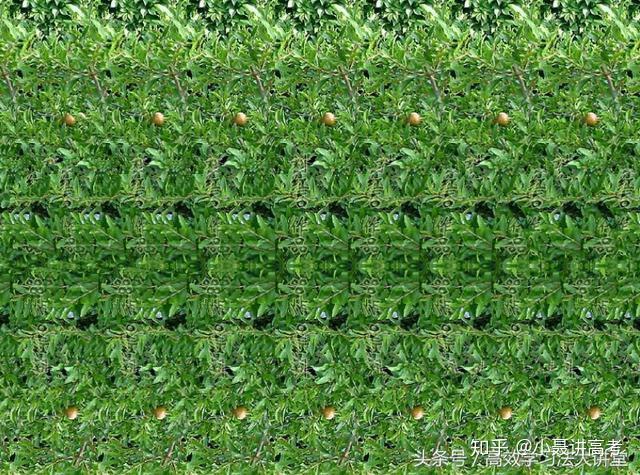 神奇的3D图你会看吗?教你立刻看清3D图,快来试试你的眼力吧 - 知乎