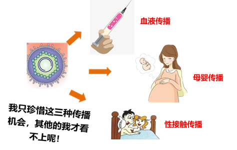 乙肝的三大传播途径及阻断方式