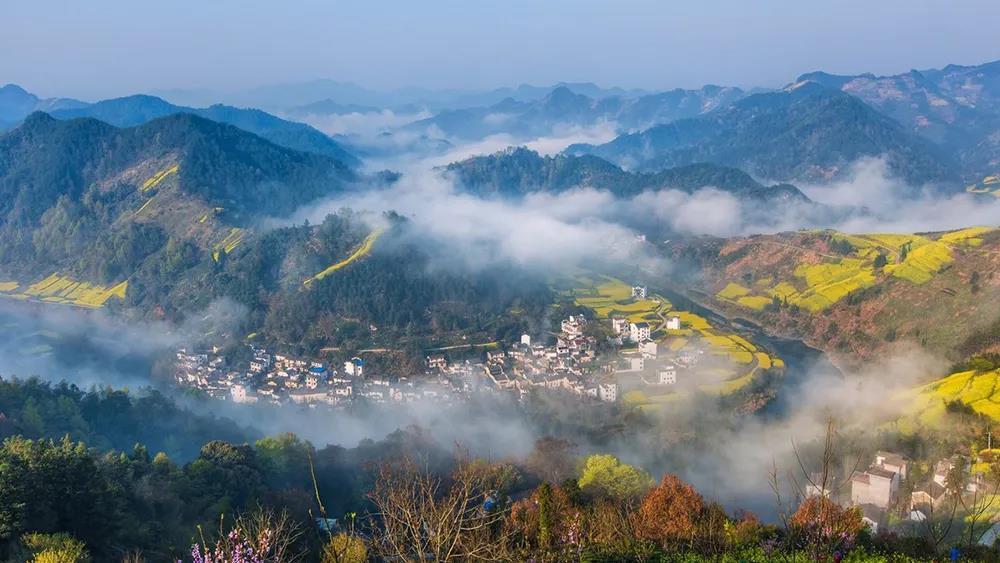 全国油菜花观赏指南,16处惊艳眼球的油菜花田,你想去哪个? - 知乎