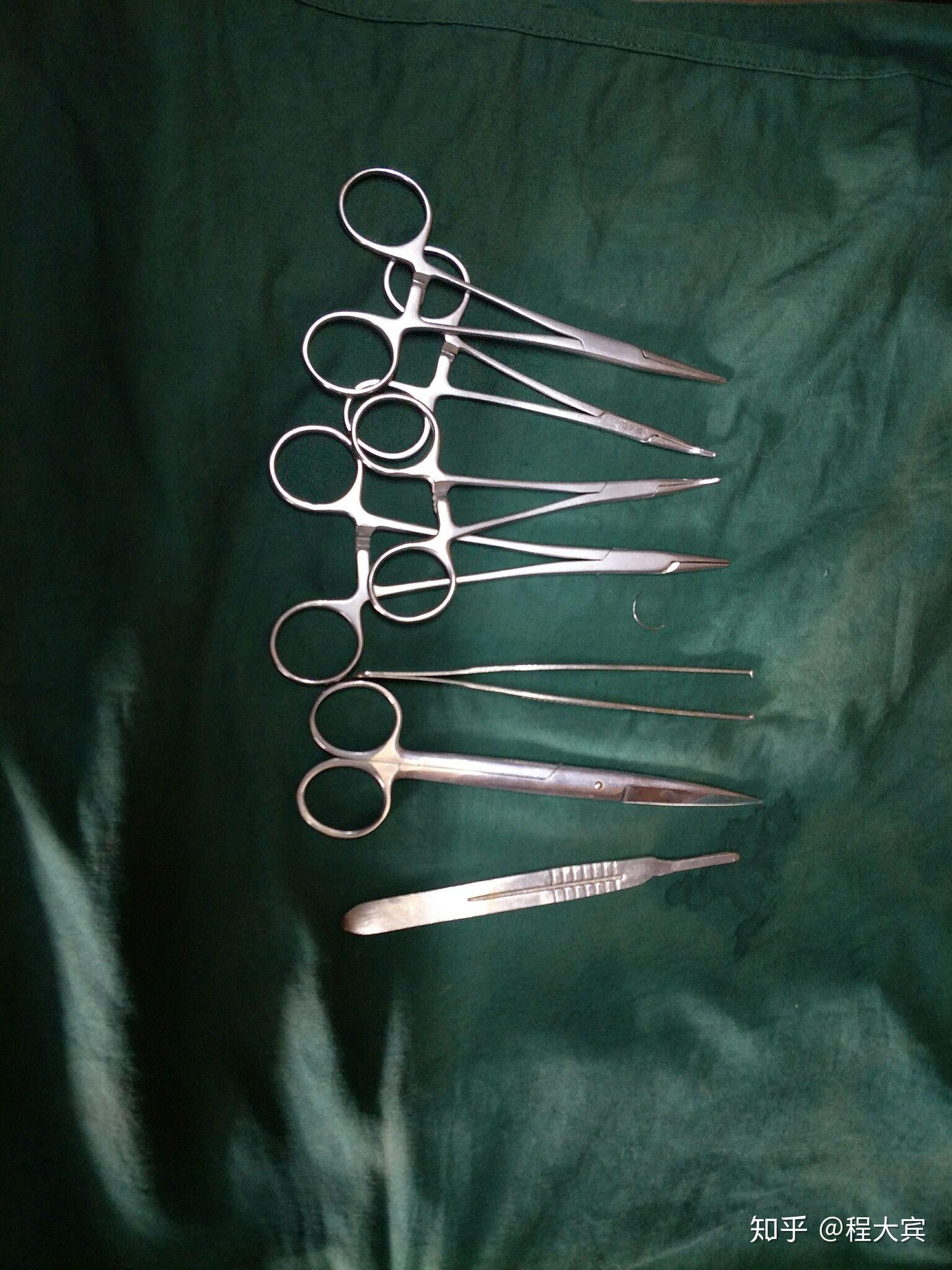 不想写了,太多了,想问啥评论里问母猫绝育600-1500公猫去势200-1000