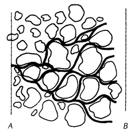 扩散(diffusion)和弥散(dispersion)有什么区别?插图1 扩散(diffusion)和弥散(dispersion)有什么区别?插图1