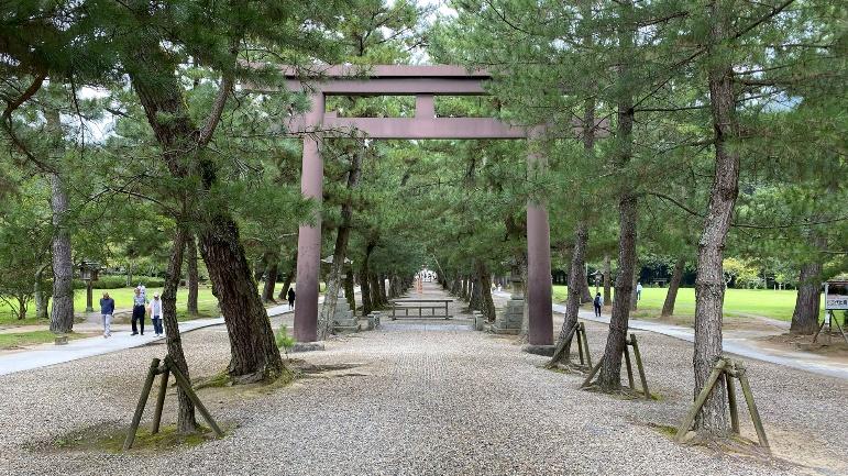出云大社日本最大神社为何要定期修缮