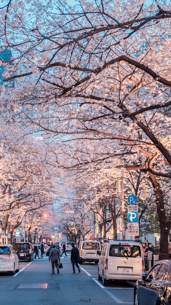 东京站八重洲口