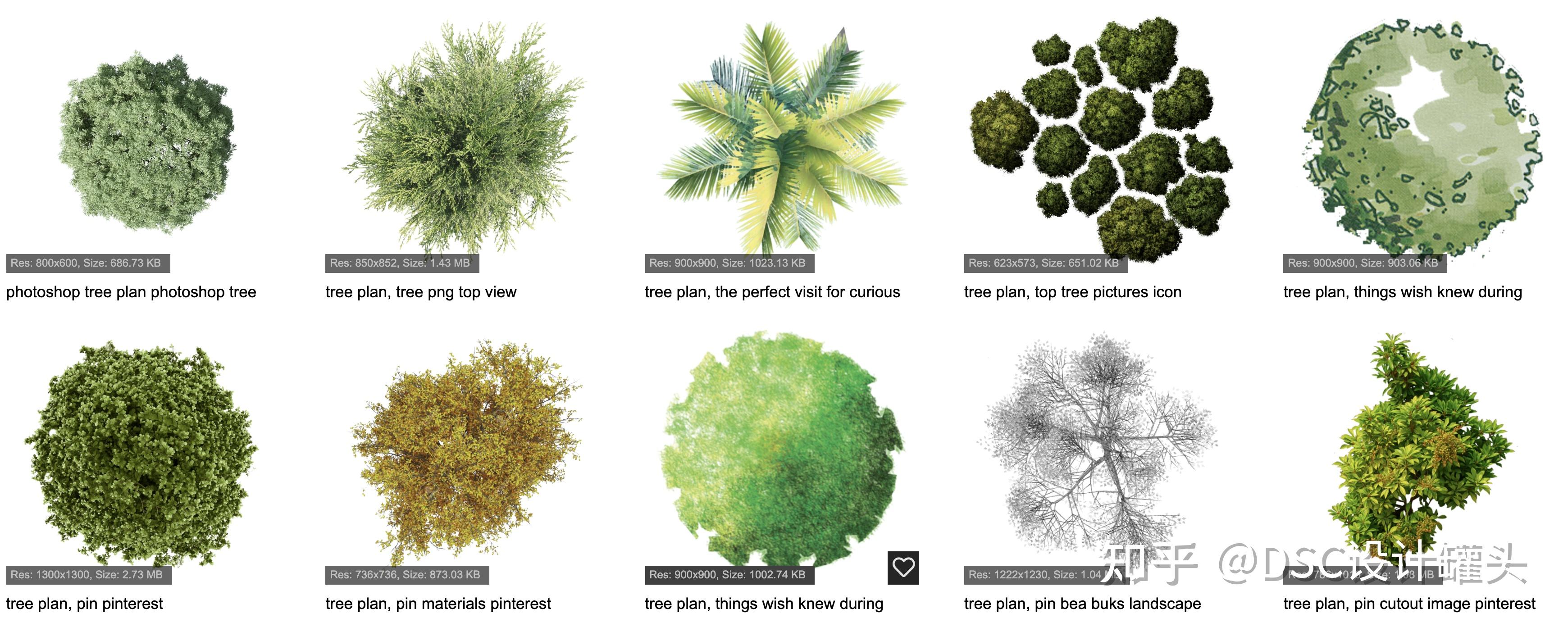 这7个免费下载免抠树木与植物的网站建筑景观生必收藏