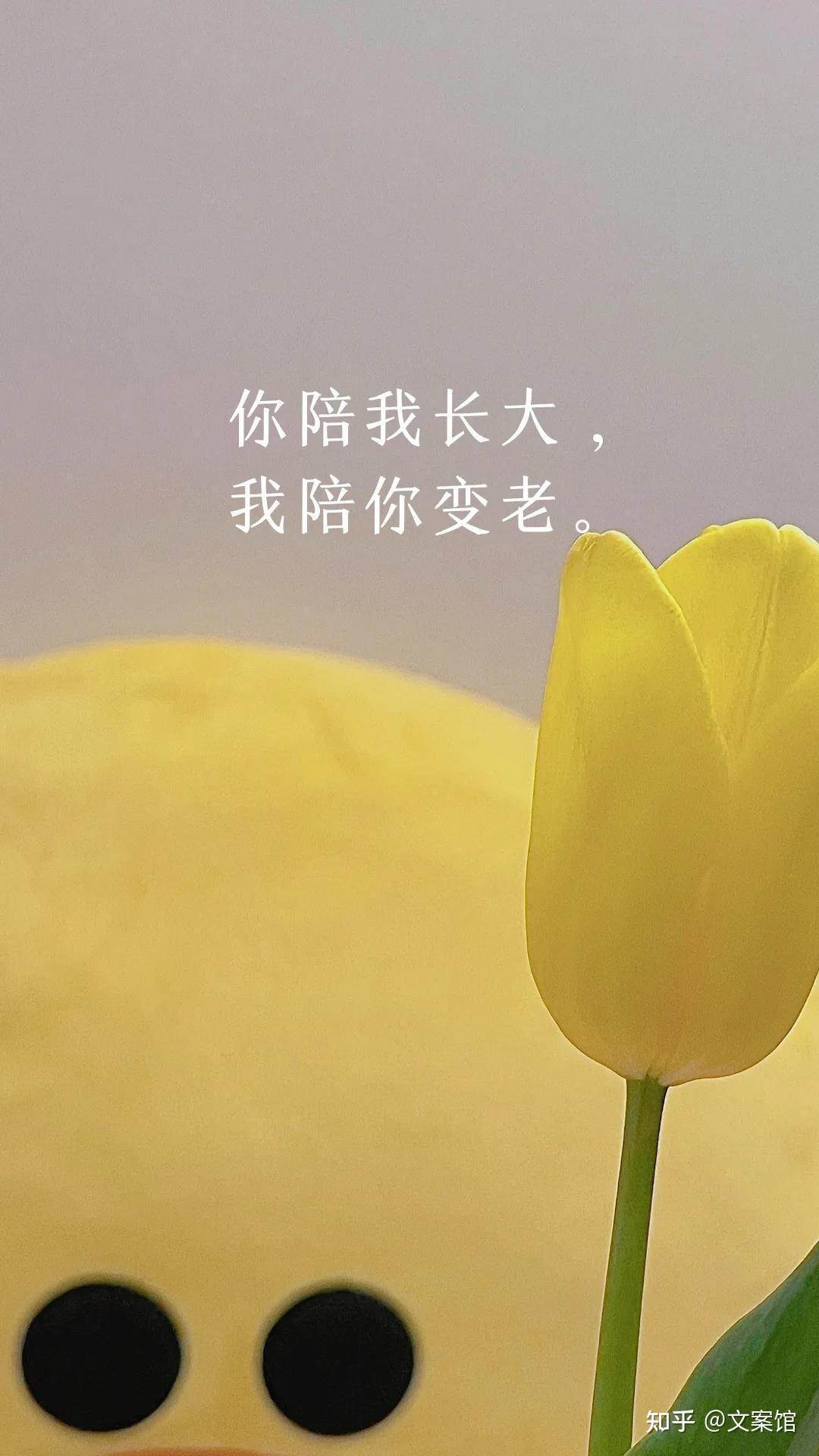 10条母亲节高质量发圈文案不容错过