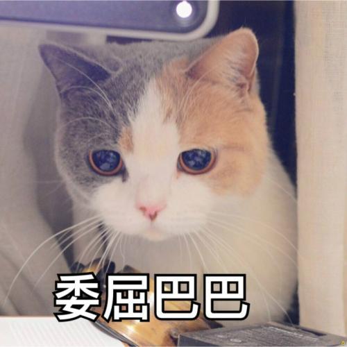 v2-5d34e6c1b4def466f501bddafe78dfde_r.jpg