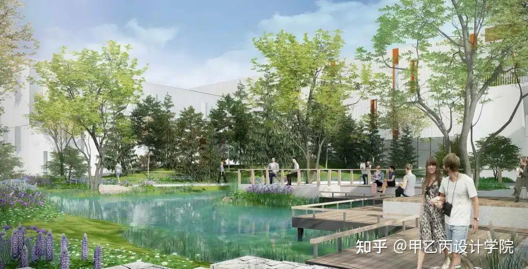 奥雅做的雨水花园上了热搜