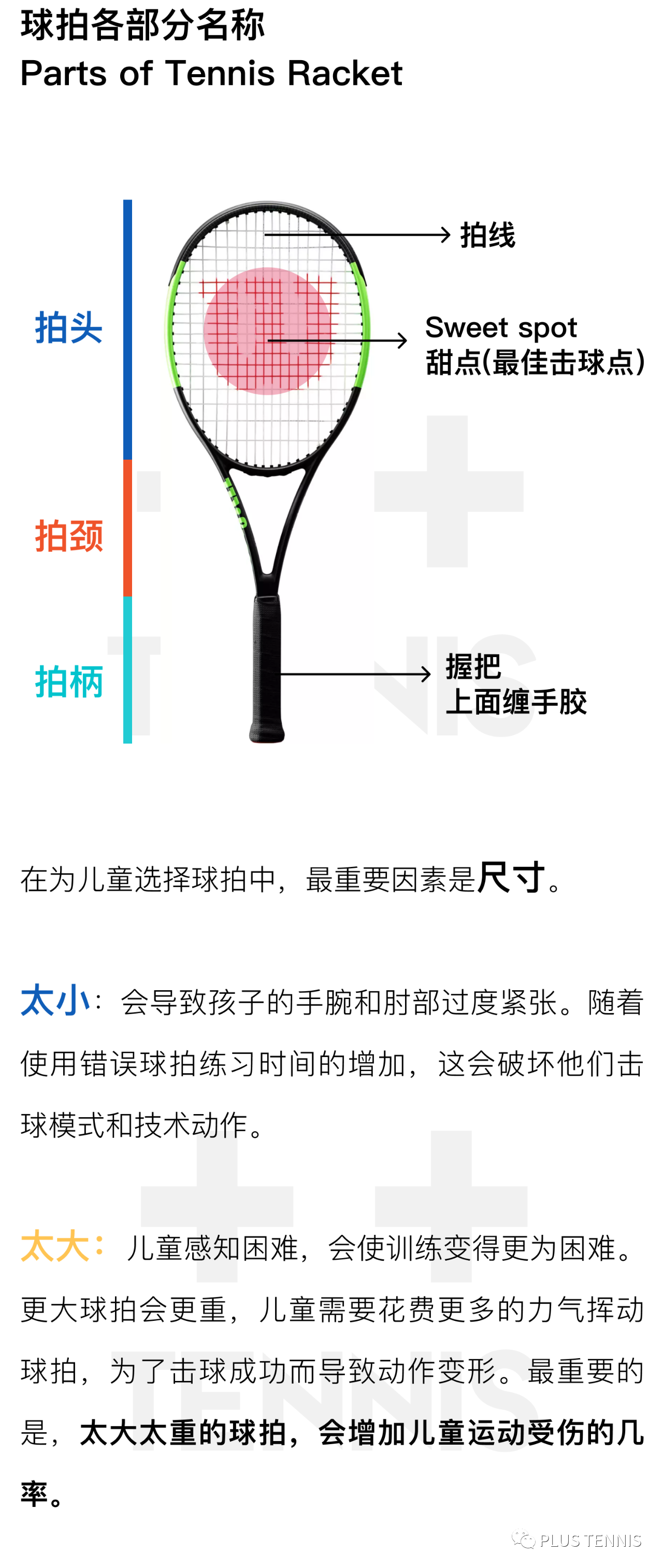 网球拍结构图解图片