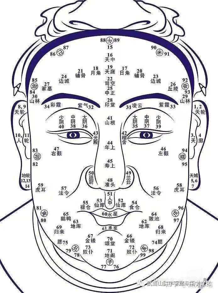 面相解说课程之第一篇