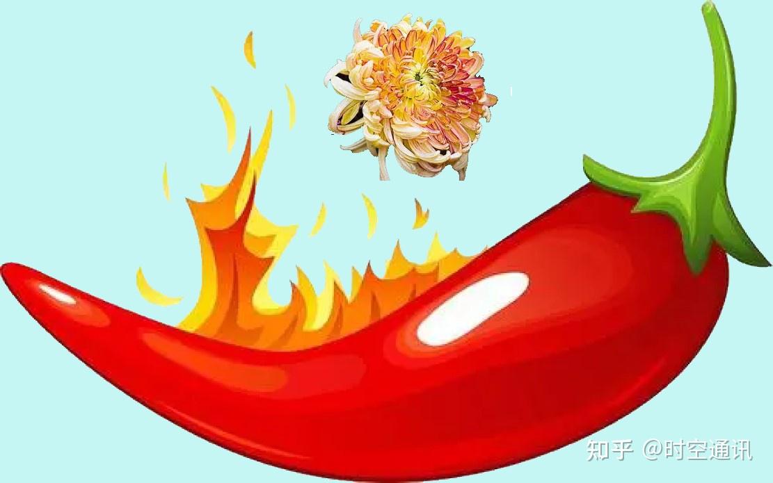 弄清了吃辣椒既会辣嘴巴又会辣菊花的道理就获得了今年的诺贝尔生理学