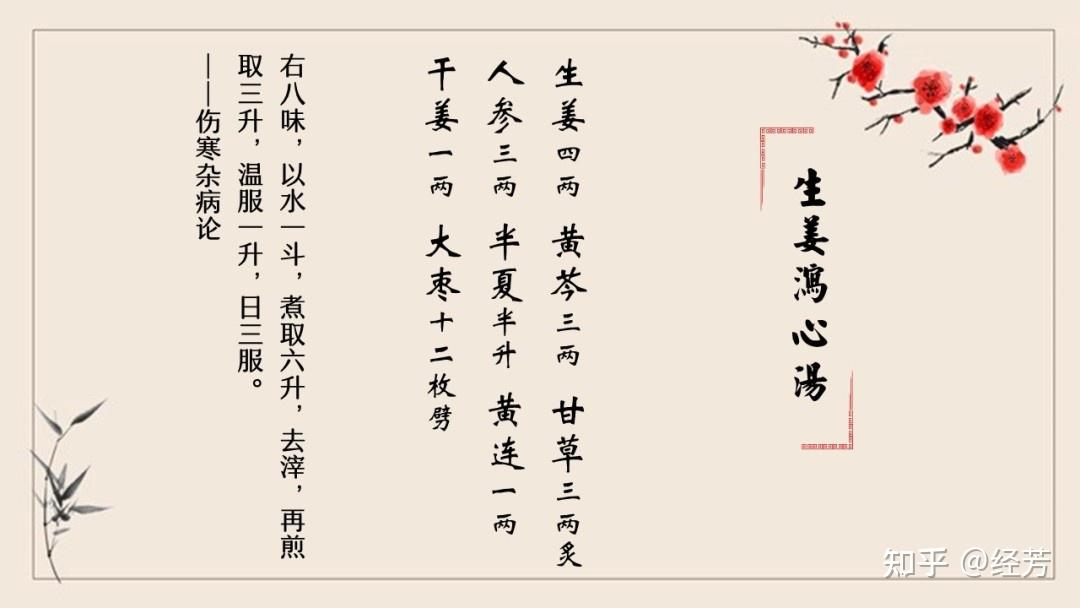 生姜泻心汤 zhuanlan.zhihu.com