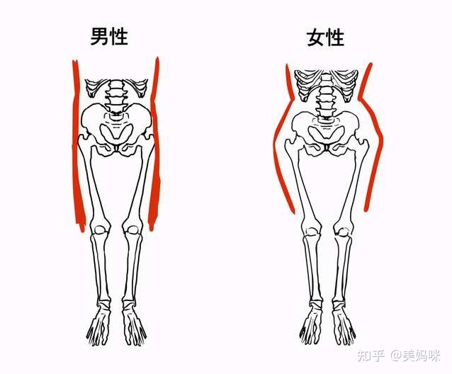 关于骨盆修复现在知道还不晚