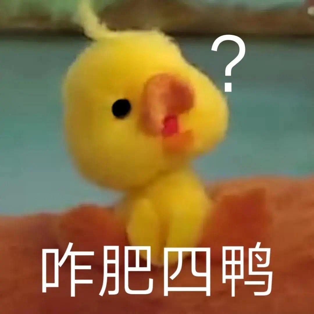有这种小黄鸭的表情包么谢谢