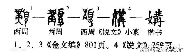 讲话的讲字本义指的是男女羞羞之事