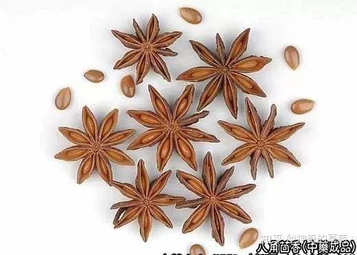 中药材:八角茴香