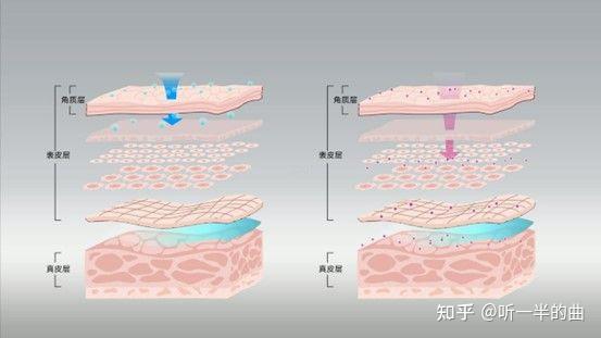当我们谈论敏感肌时我们在谈论什么？无敏氏告诉你！ - 知乎