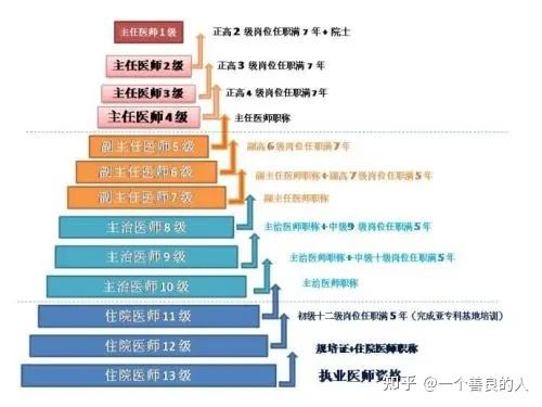 医生职称等级一览表图片