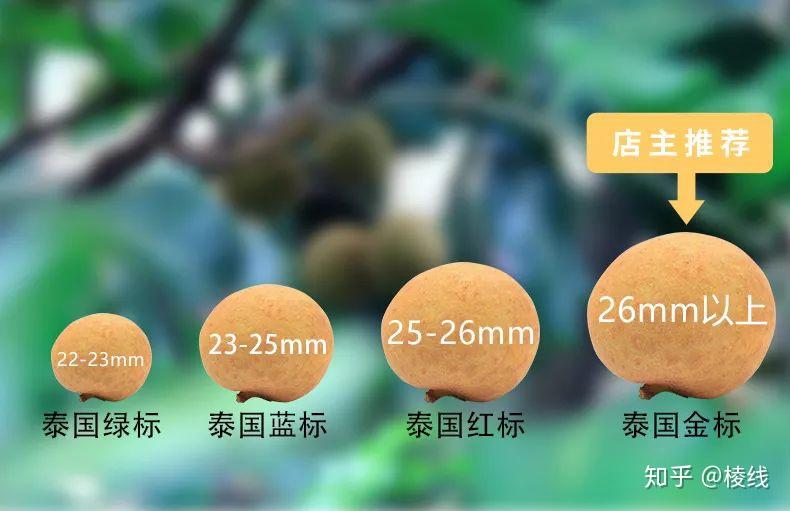 大家喜欢吃新鲜龙眼还是桂圆干?