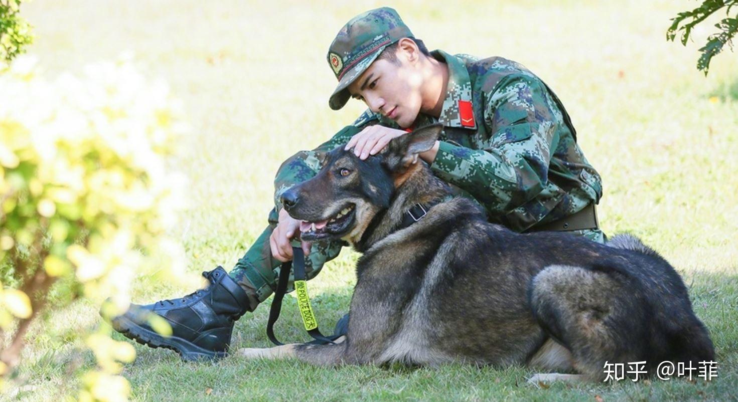 从姜潮的奇兵神犬说起