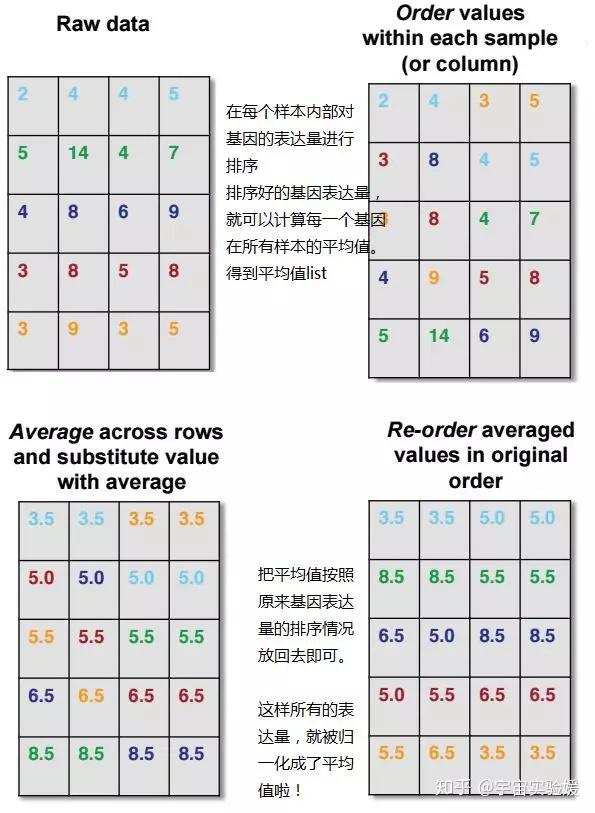 RNA-seq中的那些统计学问题——FPKM/RPKM之外的那些标准化方法 - 知乎