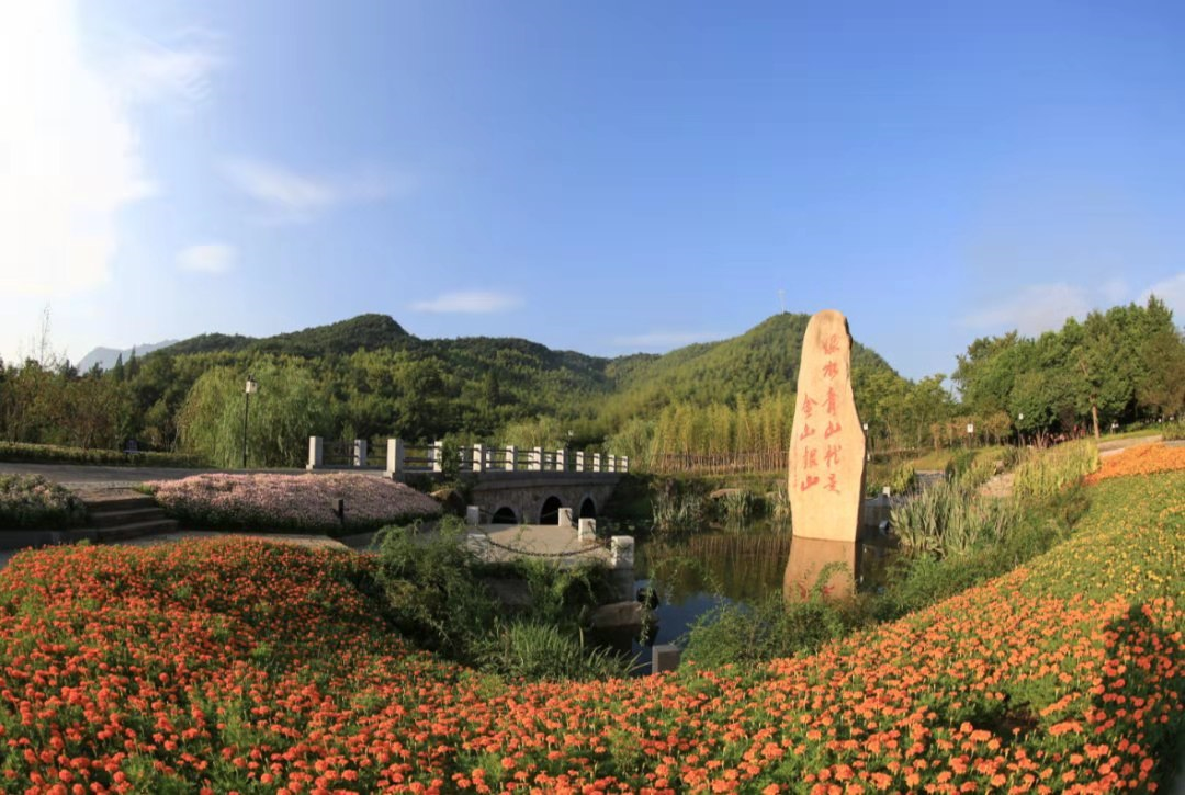 扛起环保使命担当生态文明浙里先行