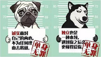 卡巴士分享黄金单身汉新定义看看你达标了没