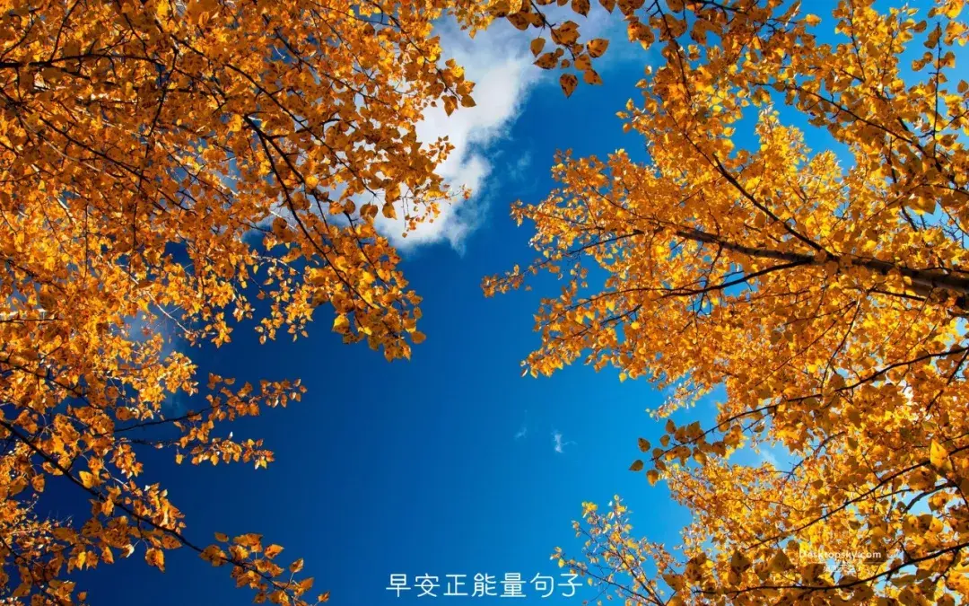 早安励志正能量的句子早安心语正能量励志语