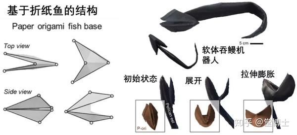 折纸鱼结构的双模变形结构,研究者们利用这种结构制作了仿生的吞鳗