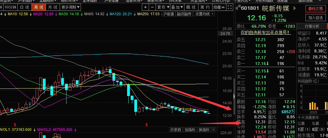 如何评价皖新传媒这只股票?