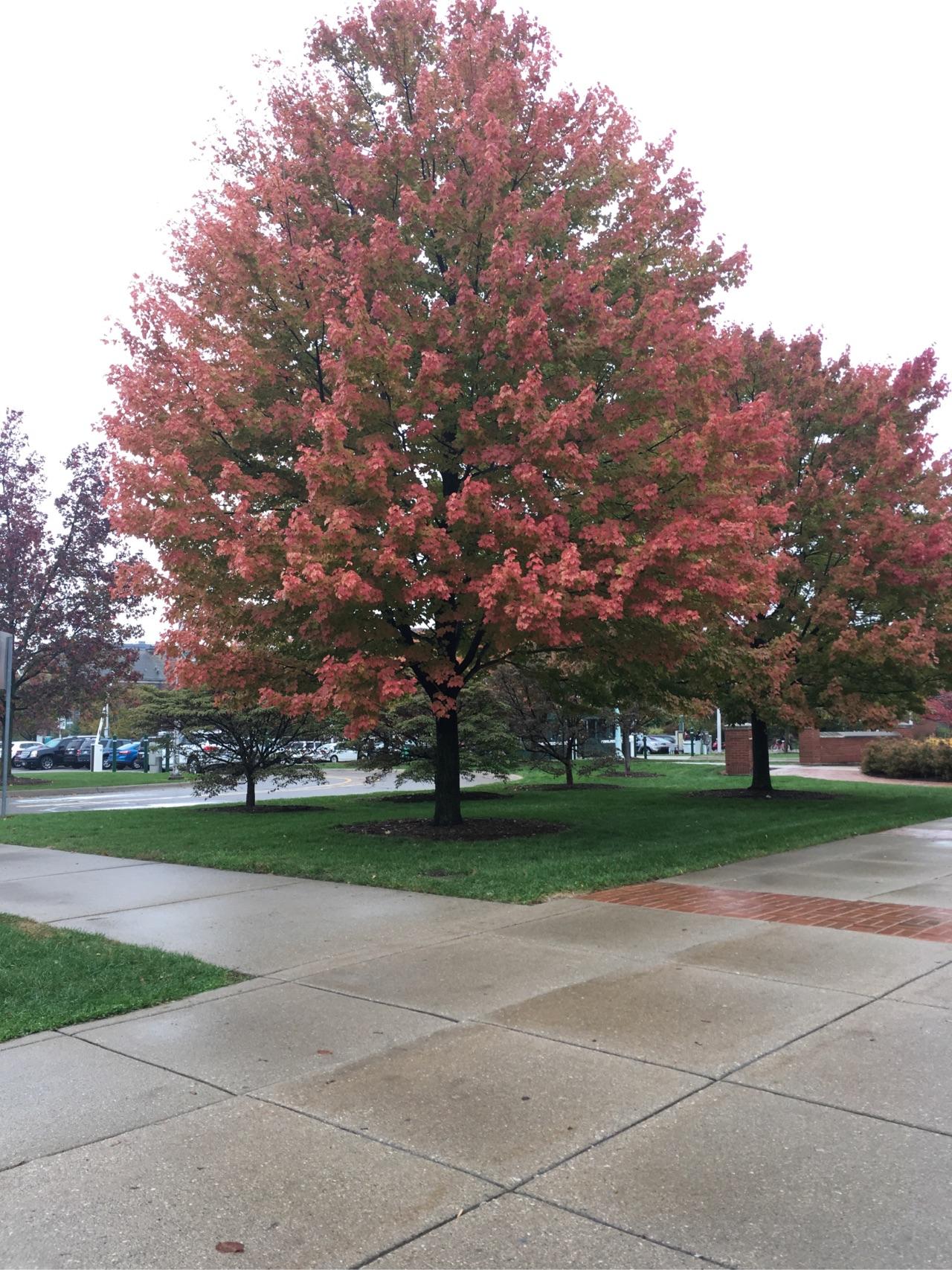 如何优雅地或者幽默地表达「我想你」?