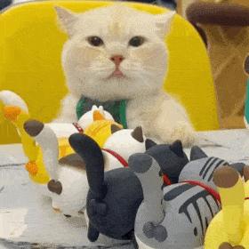 115张珍藏着的猫咪表情包