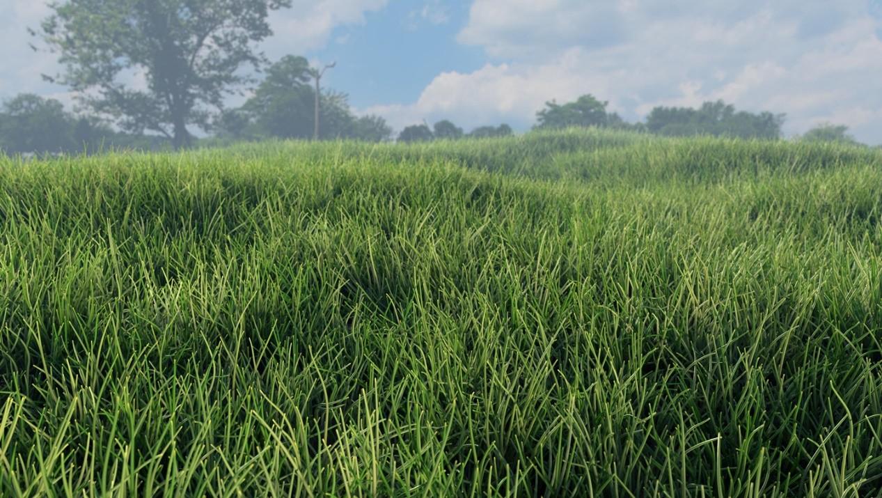 【GPU精粹与Shader编程】(二) 《GPU Gems 1》全书核心内容提炼总结 · 上篇