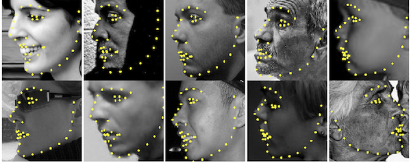 cpu上跑到 100 fps 的高精度pytorch人脸特征点检测库